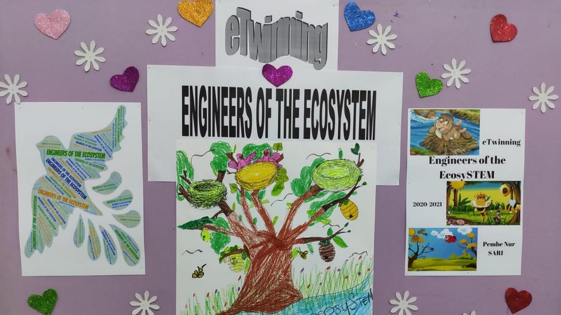 ENGİNEERS OF THE ECOSY STEM